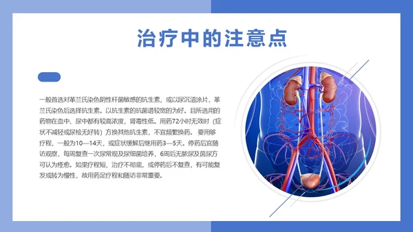 医疗风医疗泌尿系感染PPT模板
