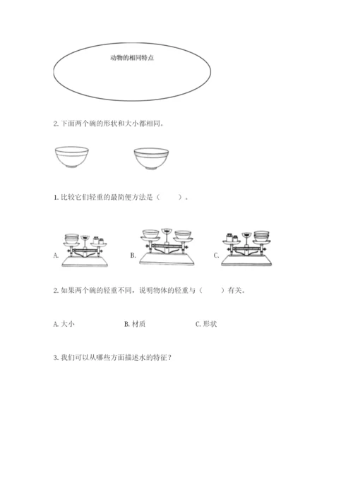 教科版一年级下册科学期末测试卷附完整答案（网校专用）.docx