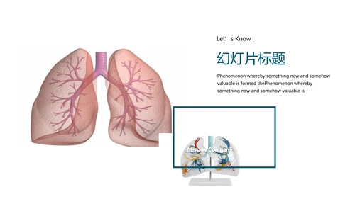 人体器官分布医学医疗ppt动态模板
