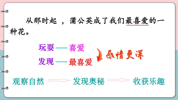 第16课《金色的草地》（第二课时）课件