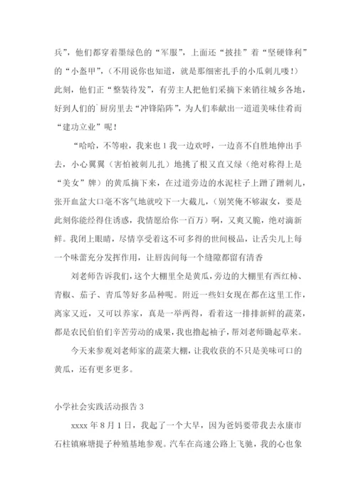 小学社会实践活动报告.docx