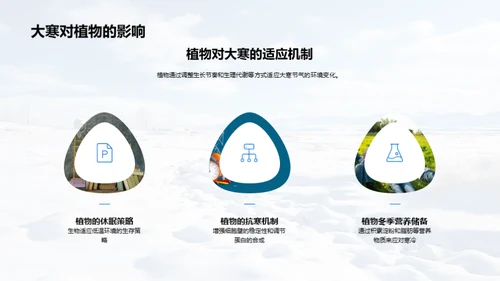 大寒节气科学解读