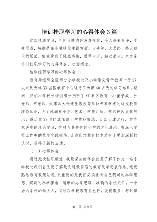 培训挂职学习的心得体会3篇.docx