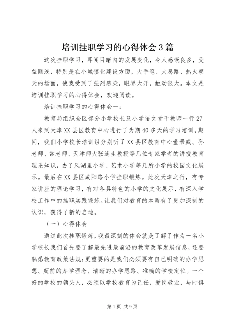 培训挂职学习的心得体会3篇.docx