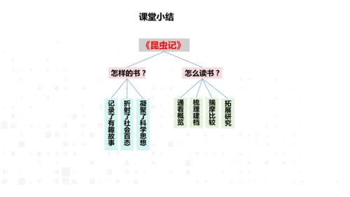 八年级语文上册 第五单元名著导读《昆虫记》课件