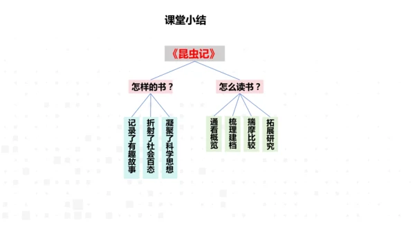 八年级语文上册 第五单元名著导读《昆虫记》课件