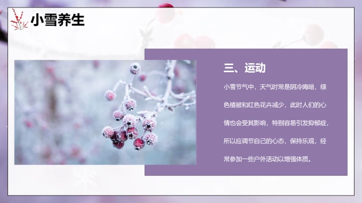 唯美简约小雪节气雪景二十四节气介绍PPT模板