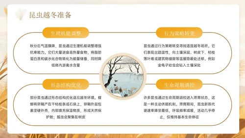 棕色系中国风秋分节气PPT模板