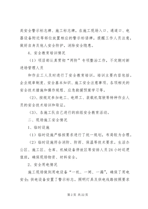 安全大检查自查报告 (12).docx