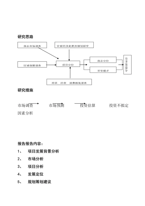 商业地产专项项目开发前期专题研究报告.docx