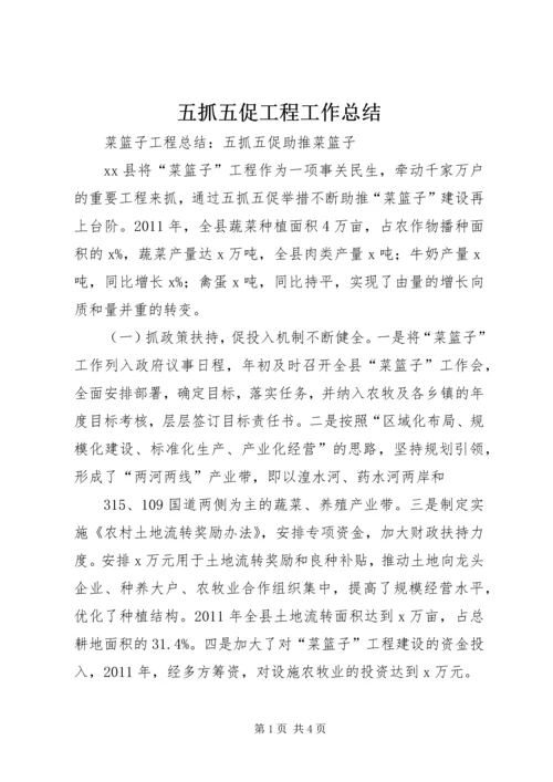 五抓五促工程工作总结.docx