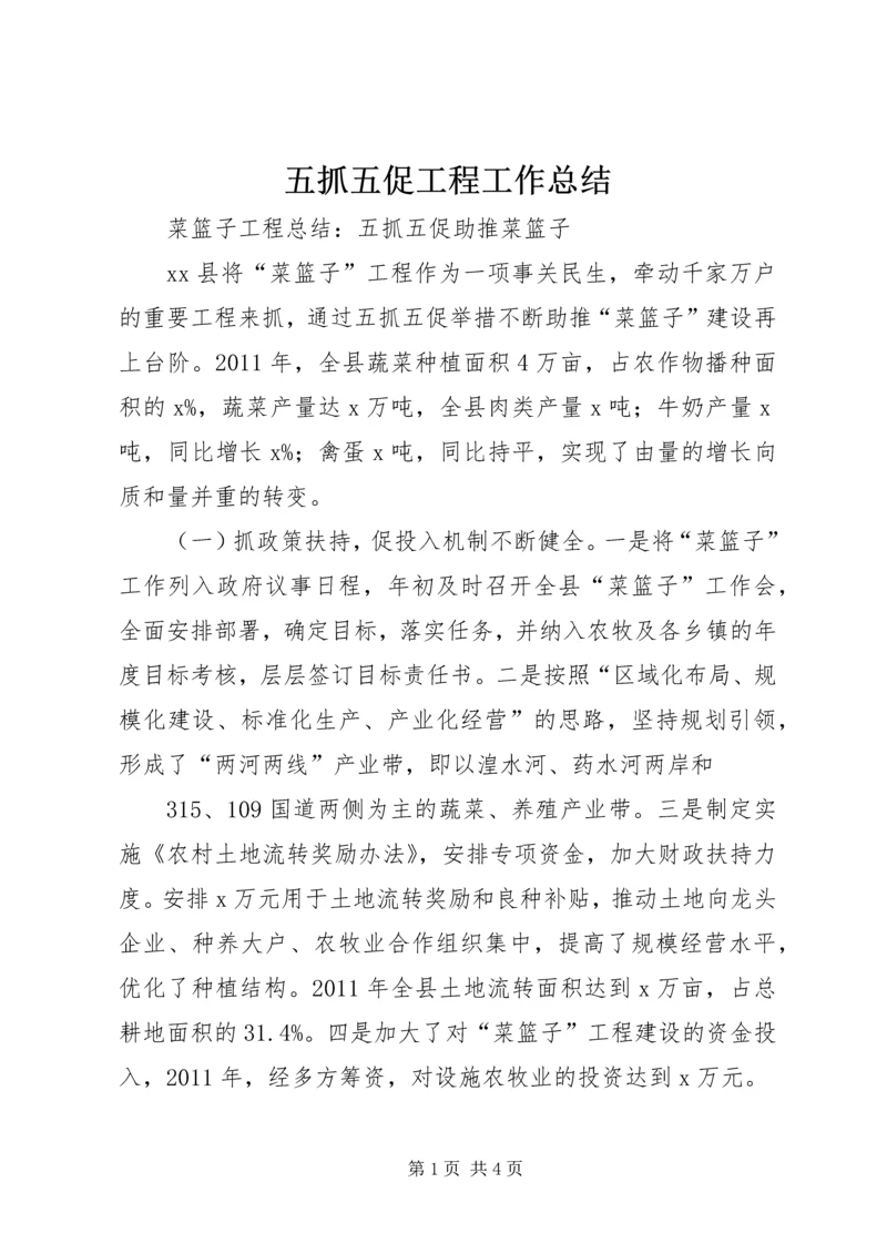 五抓五促工程工作总结.docx