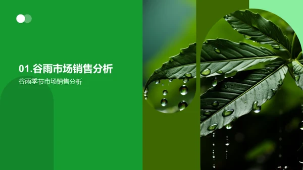 谷雨消费市场解析