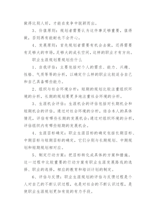 什么是个人职业规划.docx