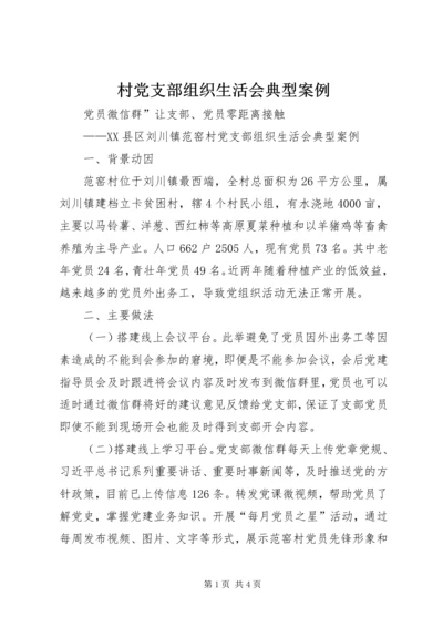 村党支部组织生活会典型案例.docx