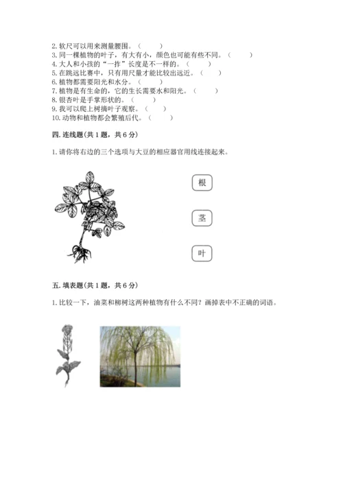 教科版科学一年级上册期末测试卷及参考答案ab卷.docx