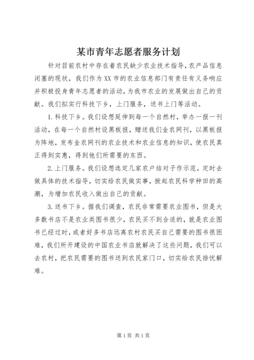 某市青年志愿者服务计划.docx