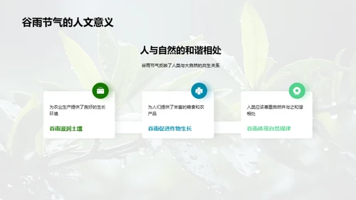 谷雨节气的科学内涵