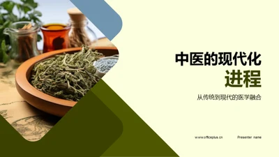 中医的现代化进程