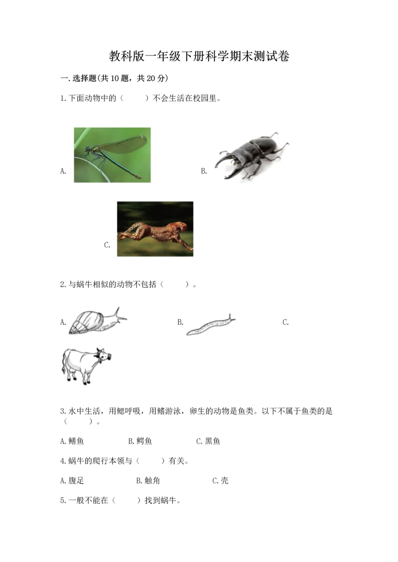 教科版一年级下册科学期末测试卷【考点梳理】.docx