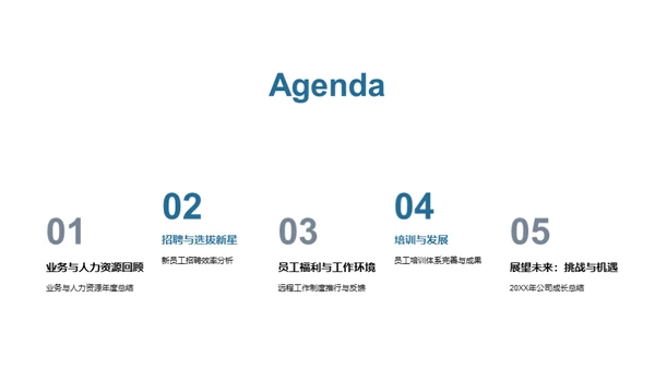 20XX年度人力资源纵览