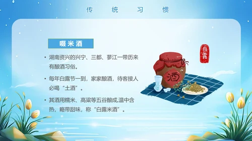 美丽的梦幻传统节气白露PPT模板