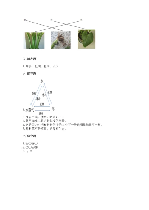 教科版科学一年级上册期末测试卷精品【有一套】.docx