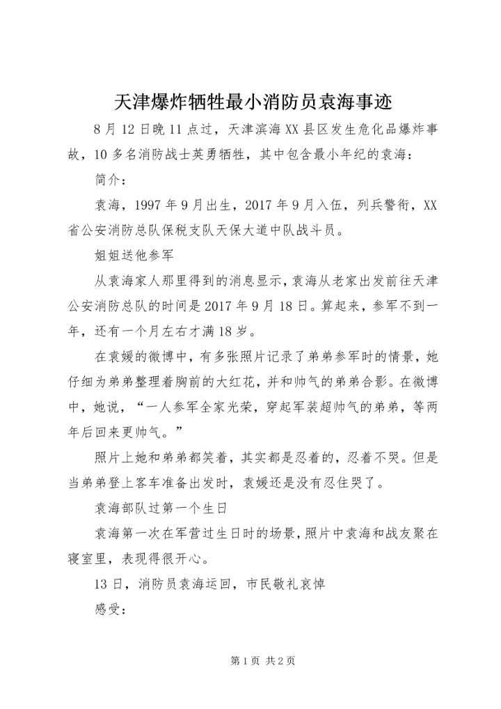 天津爆炸牺牲最小消防员袁海事迹.docx