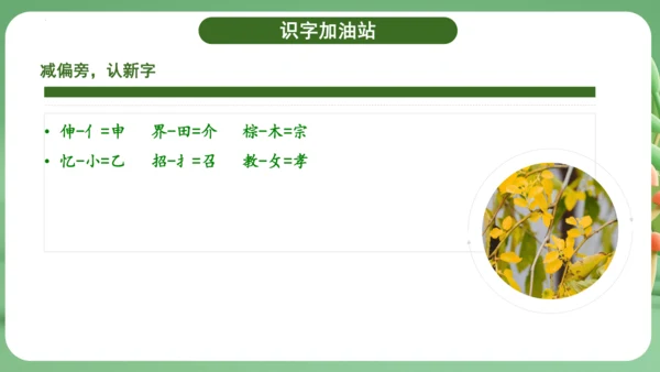 统编版2024三年级语文上册第三单元复习   课件