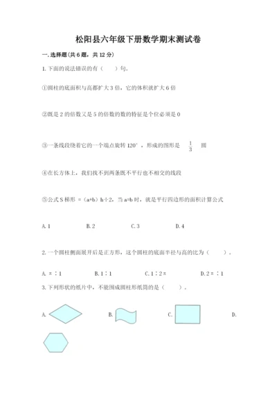 松阳县六年级下册数学期末测试卷（满分必刷）.docx