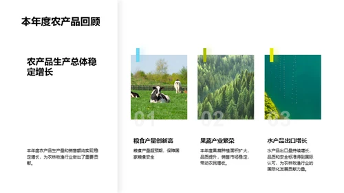 年度农业成就盘点
