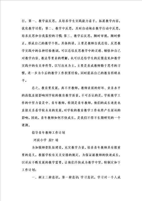 新版培养指导青年教师工作总结1汇编