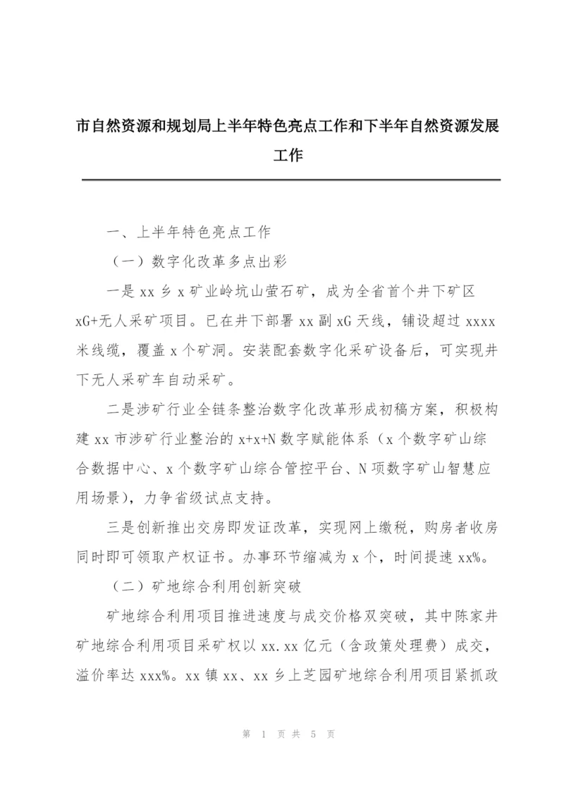 市自然资源和规划局上半年特色亮点工作和下半年自然资源发展工作.docx