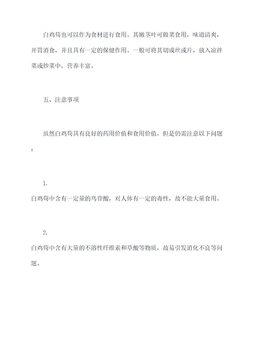 白鸡苟功效与作用