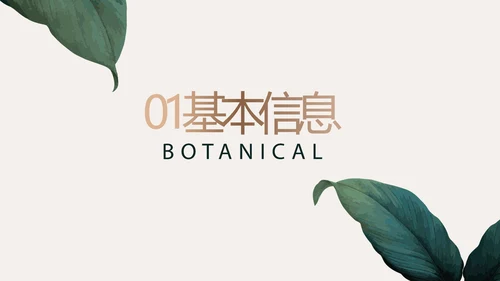 学生个人简历面试自我介绍岗位竞聘演讲PPT