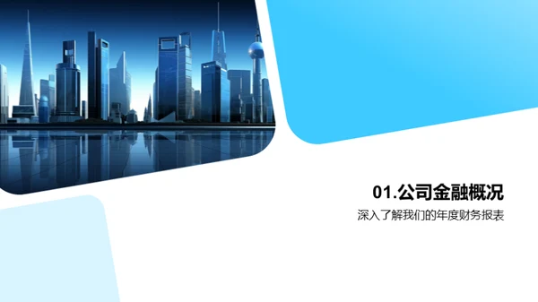 探索金融巨头
