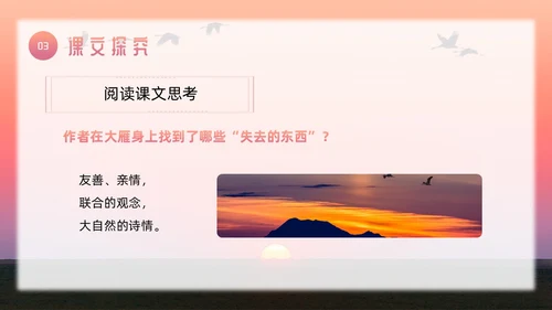 粉色简约八年级语文下册大雁归来PPT模板宣传PPT动态PP