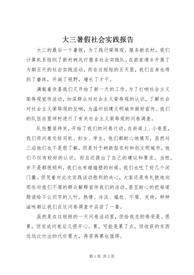 大三暑假社会实践报告.docx