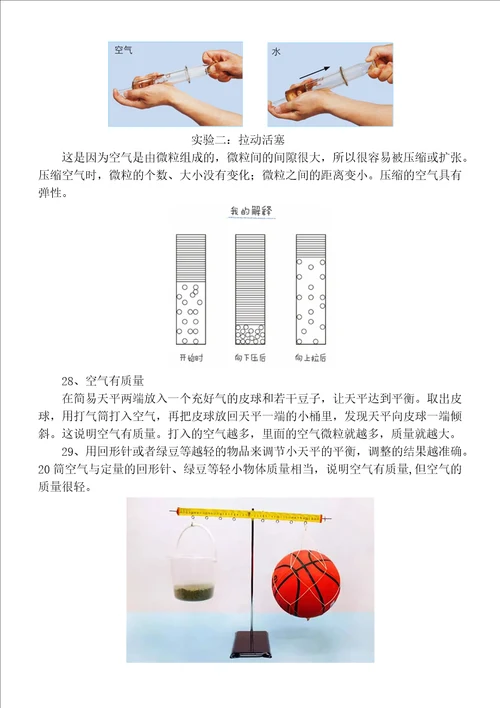 小学科学教科版三年级上册期末复习知识点整理