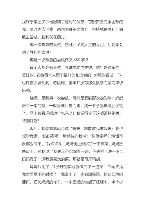 那是一次难忘的尝试作文450字