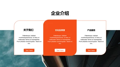 单色扁平3项企业介绍