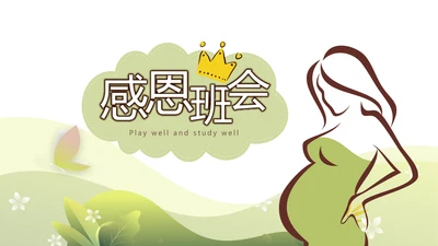 感恩主题班会孕妇工作总结动态PPT