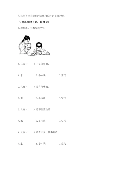 教科版小学科学一年级下册期末测试卷含完整答案【易错题】.docx