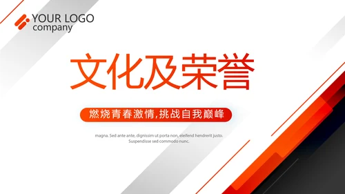 红色大气企业宣传画册公司简介产品介绍PPT
