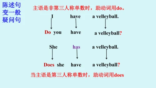 Unit 5 Grammar Focus课件 （人教新目标七年级上册Unit 5 Do you ha