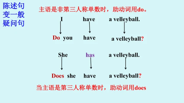 Unit 5 Grammar Focus课件 （人教新目标七年级上册Unit 5 Do you ha