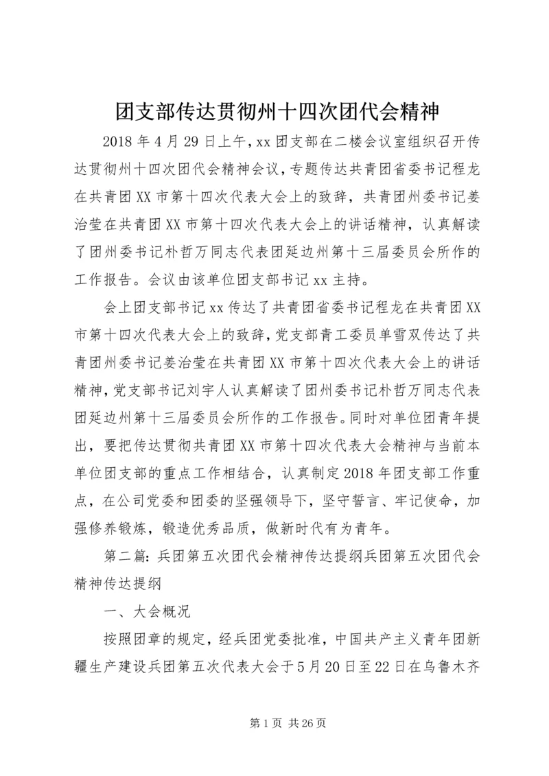 团支部传达贯彻州十四次团代会精神.docx