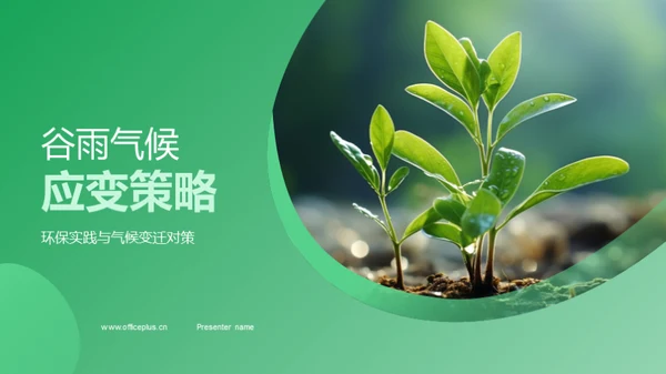 谷雨气候应变策略