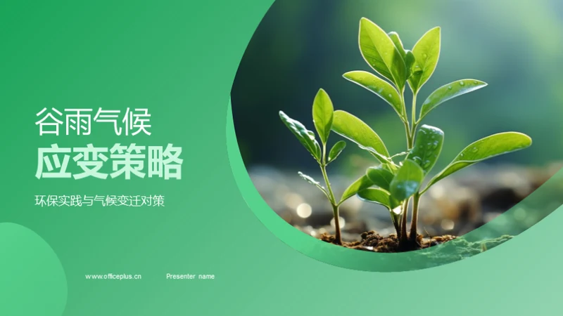 谷雨气候应变策略