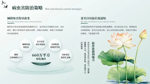 墨绿色中国风夏至节气PPT模板